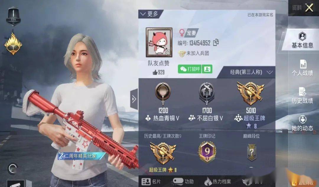 吃鸡段位级别排列图探索吃鸡之路，段位级别全解析-第3张图片