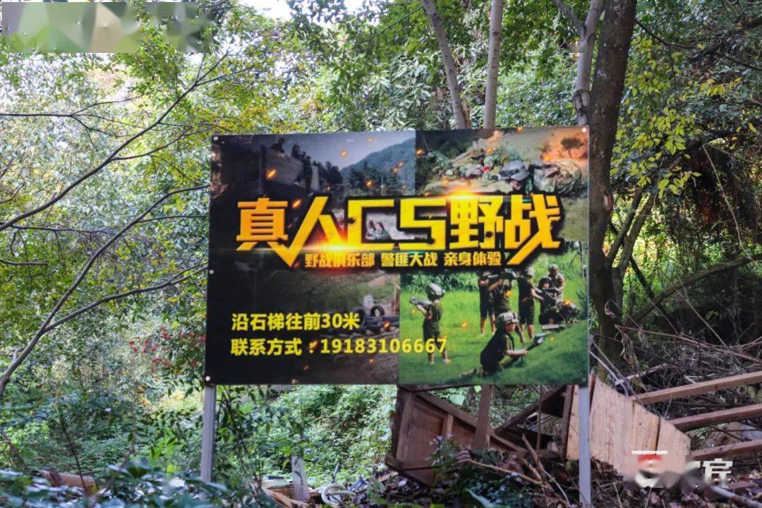 老外的生活方式，随时随地野战-第2张图片