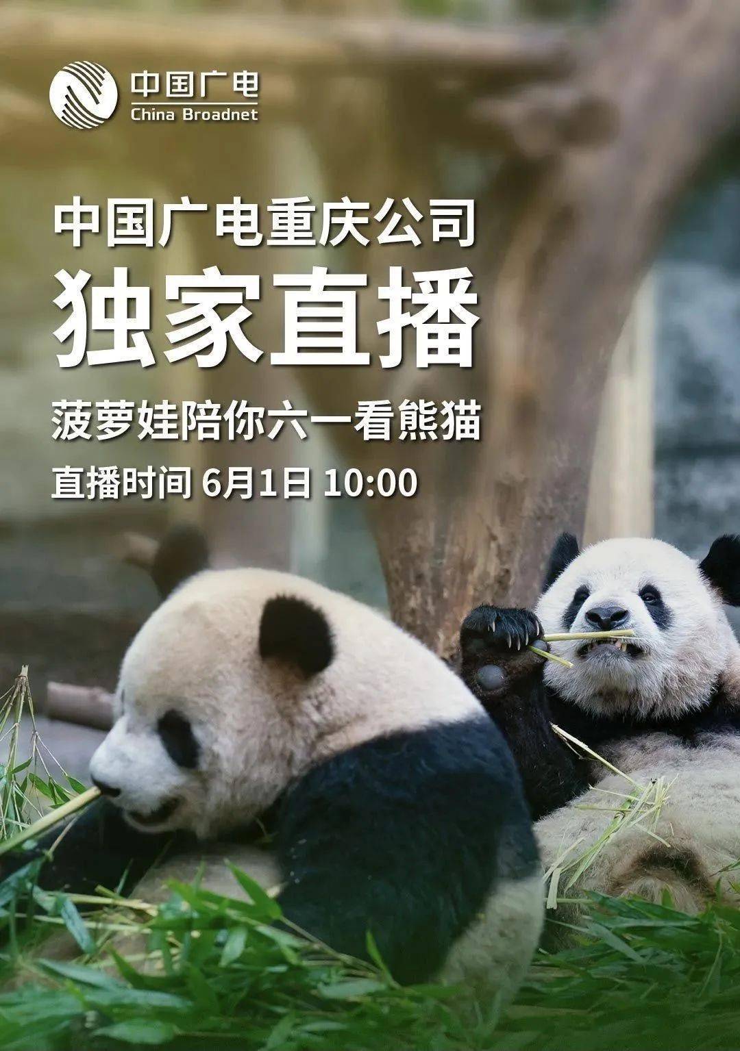 2012国语在线看免费观看推荐2012年国语在线免费直播观看指南-第2张图片