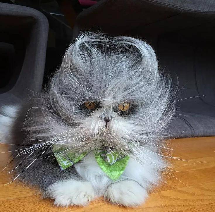 毛老太哪里的BGMBGMBGM下的多毛老太太