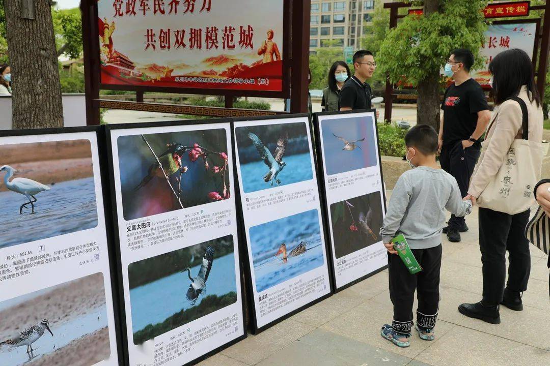 国产在线视频的多样性与一区特色-第1张图片