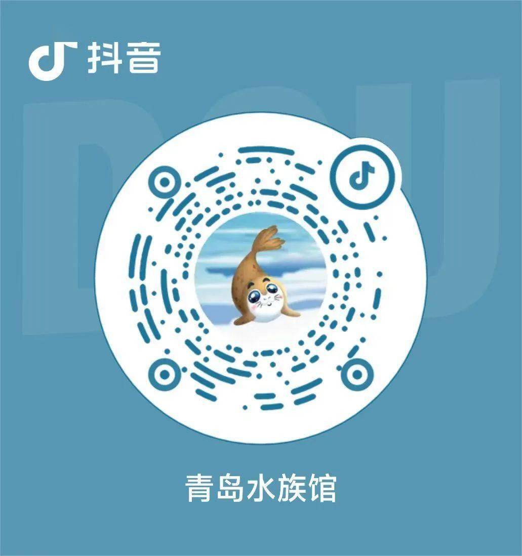 探探抖抈APP下载探探抖抈APP下载，解锁社交新体验-第3张图片