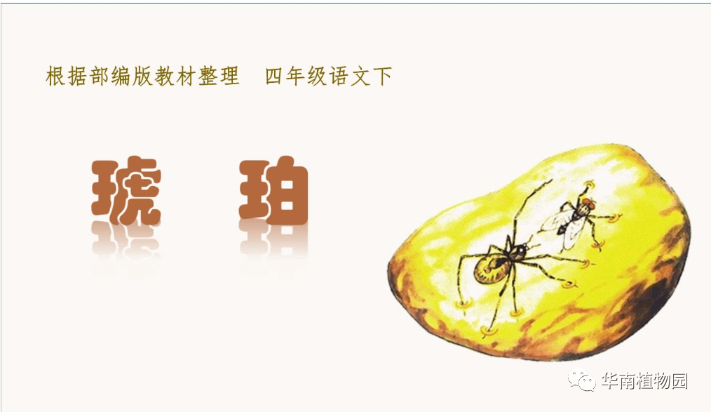一次意外邂逅，语文课代表的故事