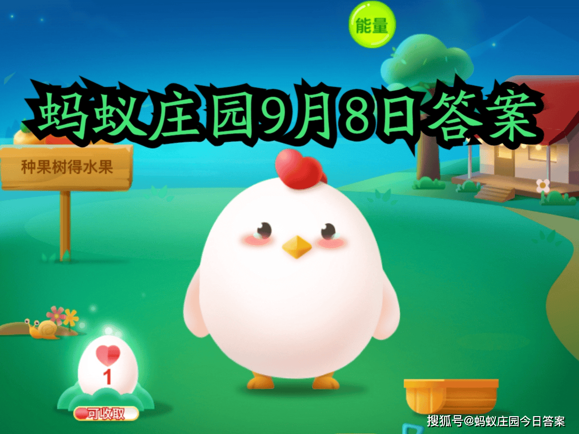 小鸡庄园今日答案更新——11月3日版