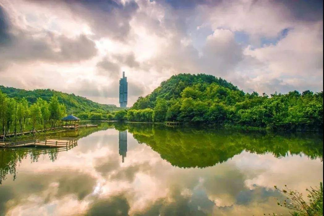 旅人网绿人网，引领绿色生活的新力量-第3张图片
