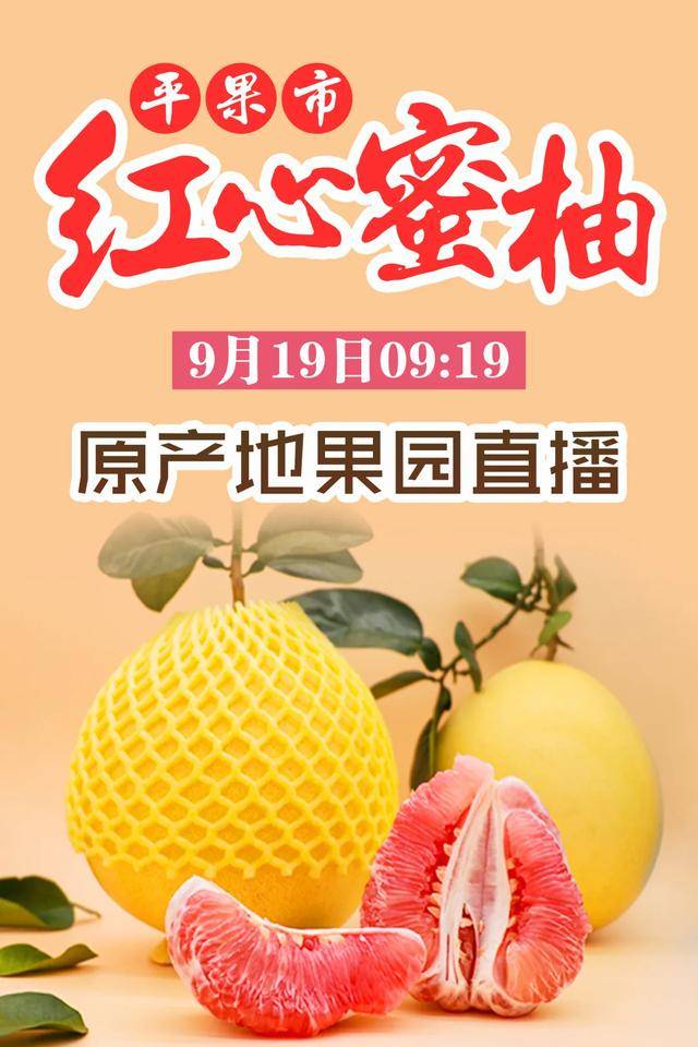 蜜柚直播软件app下载安装最新版蜜柚直播软件app下载安装教程-第3张图片