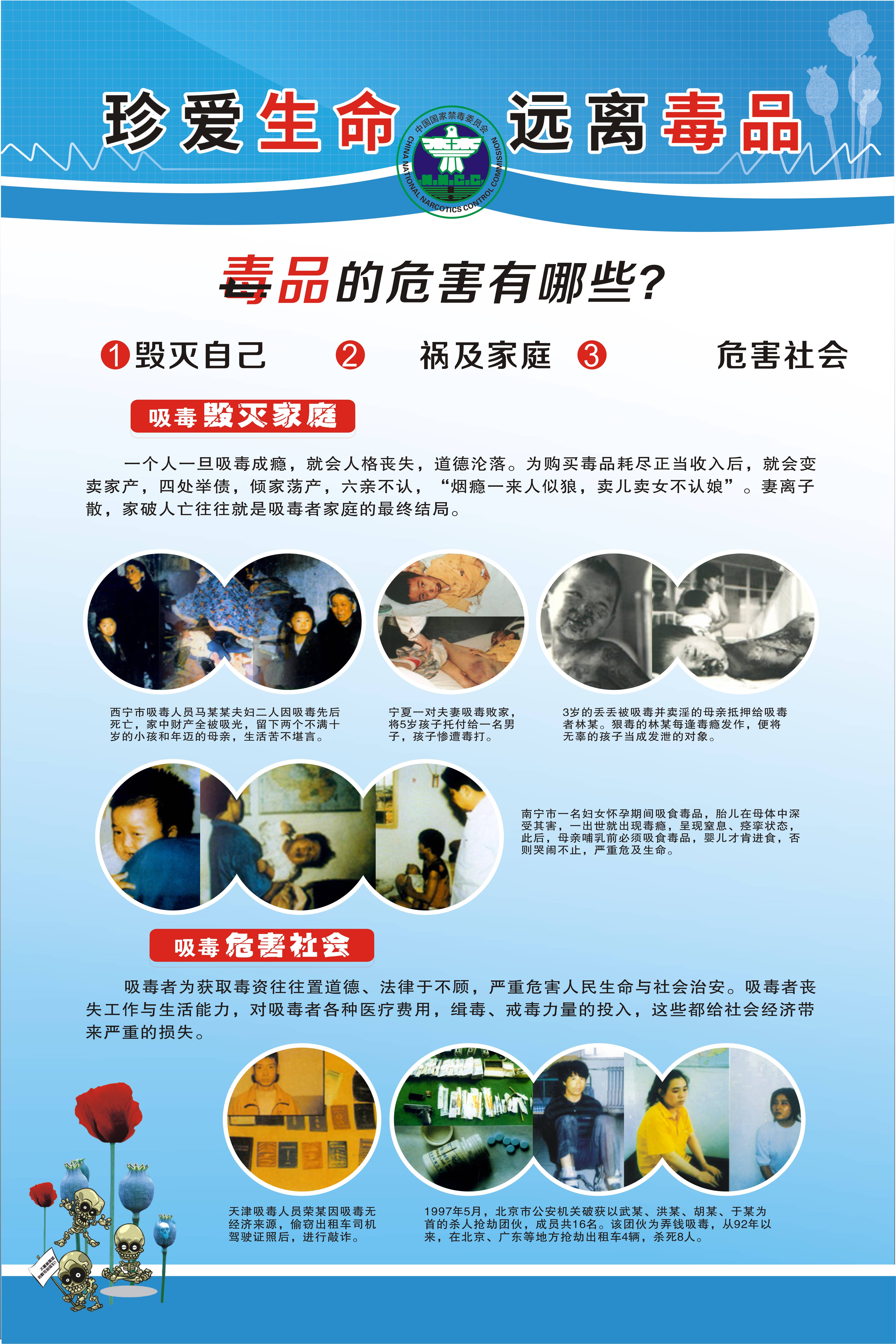 远离不良信息，珍爱网络环境——关于永久免费不卡在线观看黄网站的思考-第3张图片