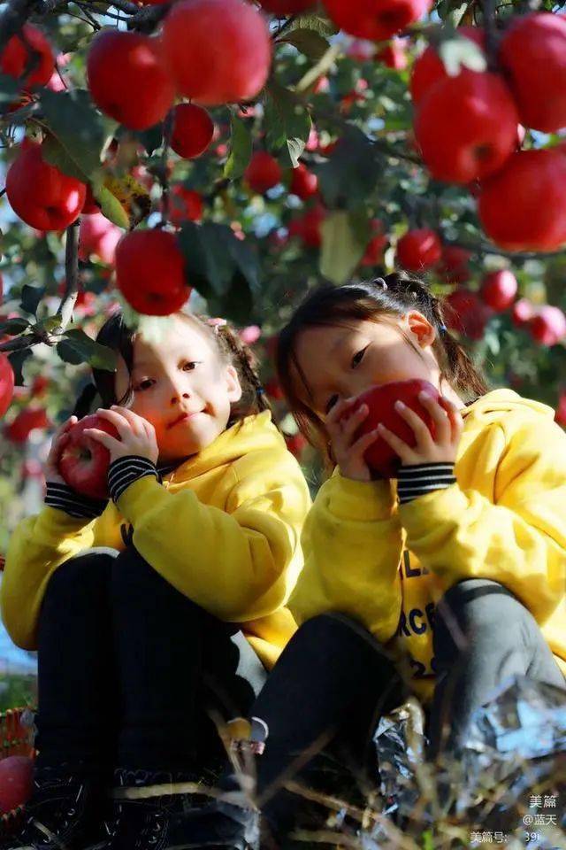 红扑扑中国官网红扑扑的中国——魅力四溢的华夏大地