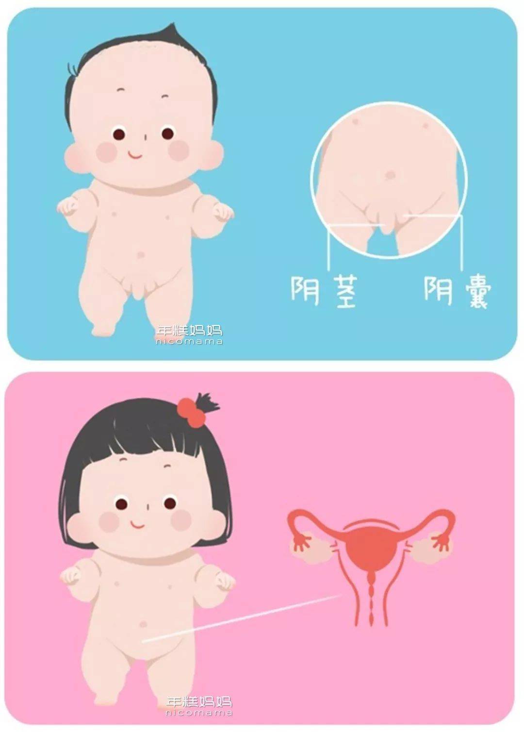 女子扒开尿口撒尿视频女子隐私行为曝光，尿口撒尿视频的探讨