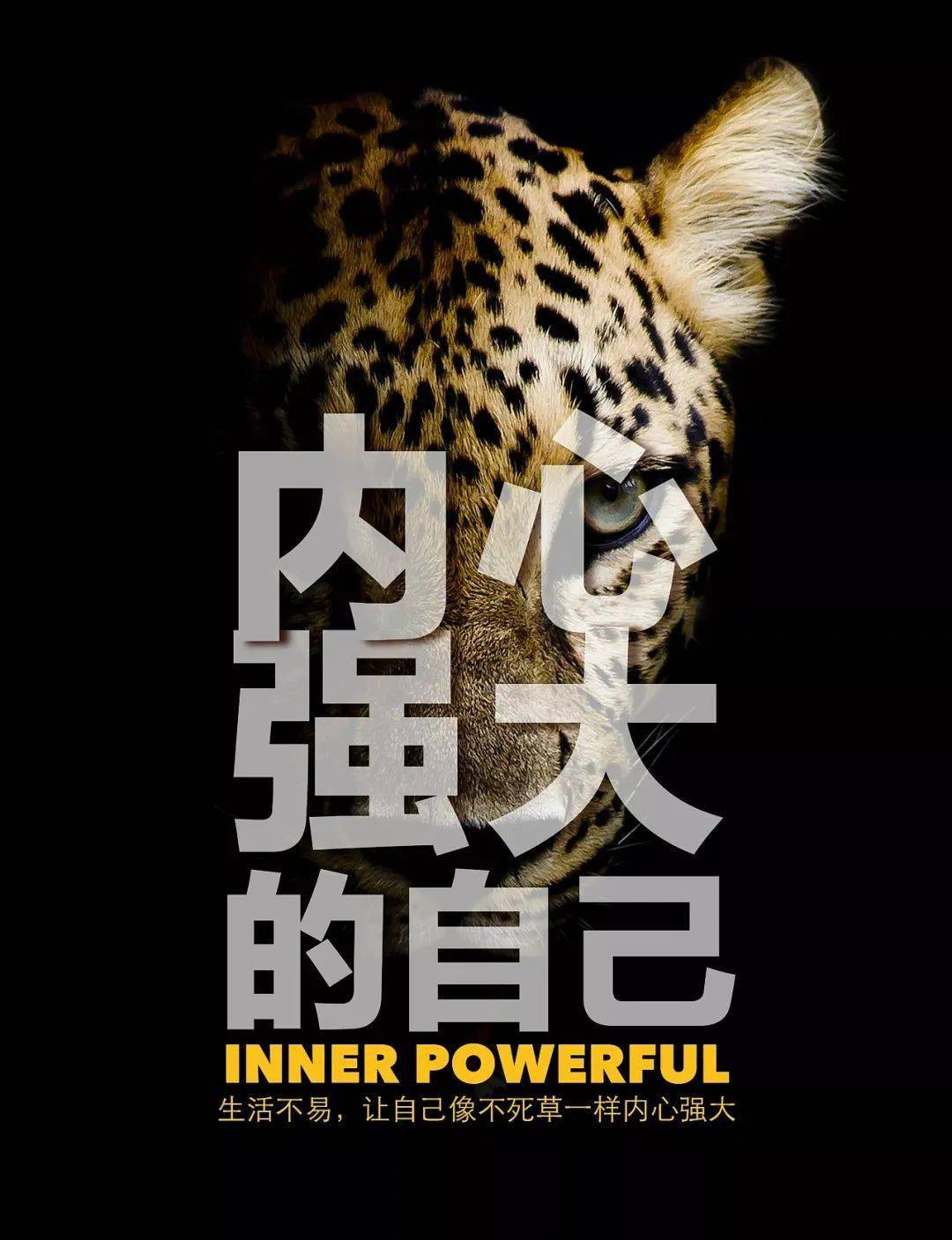 正能量网站地址免费正能量网站入口，点击即入，开启你的积极生活