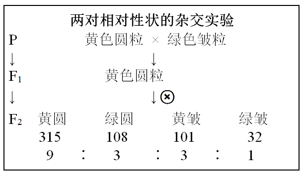 一卡二卡三免费乱码的解析与理解