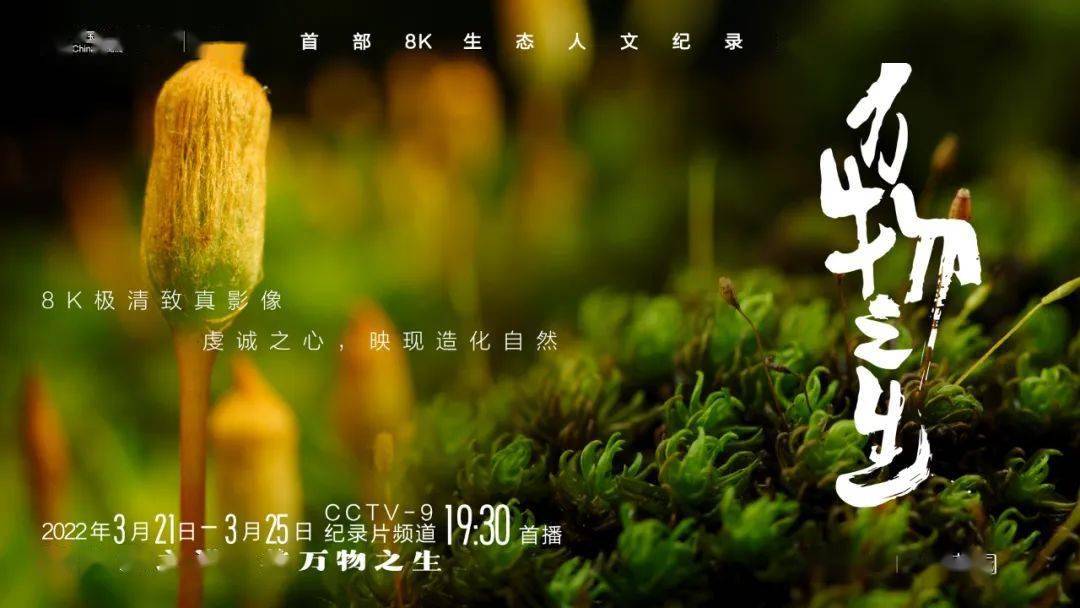 张瑾瑜的魅力之旅，咪咕视频下的9分精彩-第2张图片