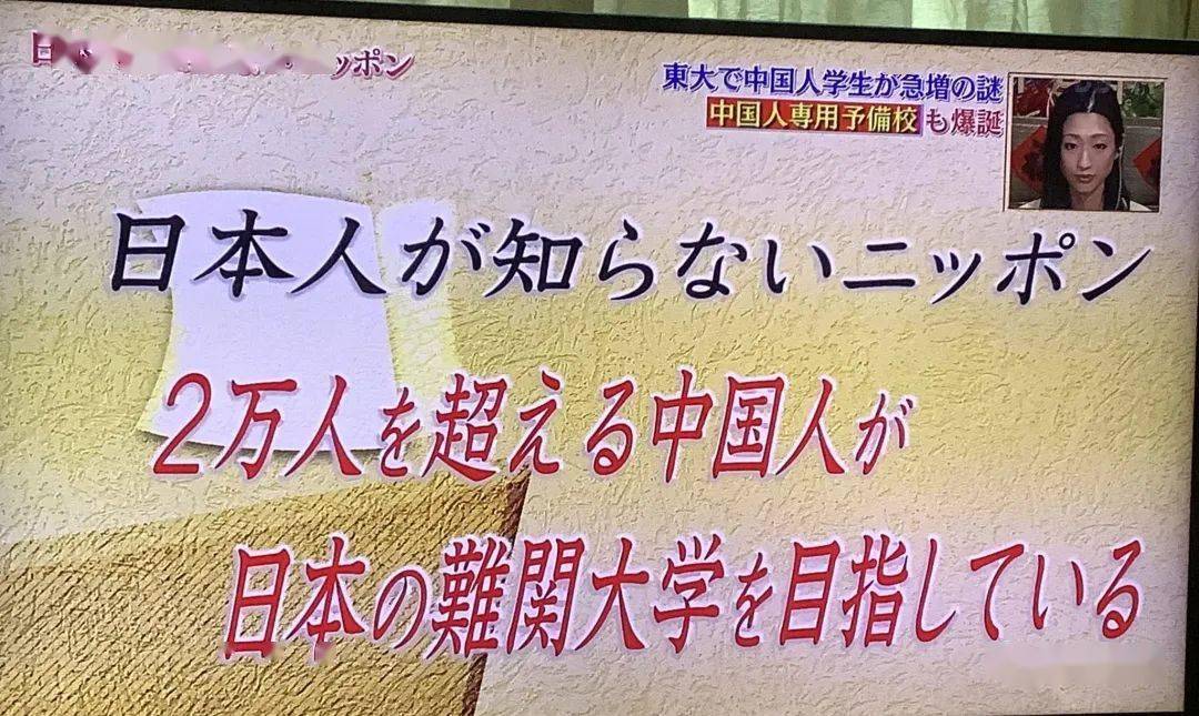 毛网毛网，从网络现象到社会现象的深度解析-第1张图片