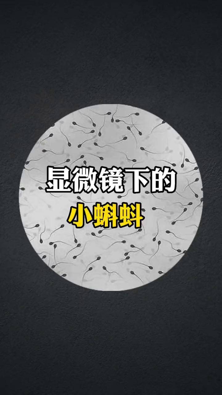 小蝌蚪视频怎么没有了呀小蝌蚪视频的探索与发现