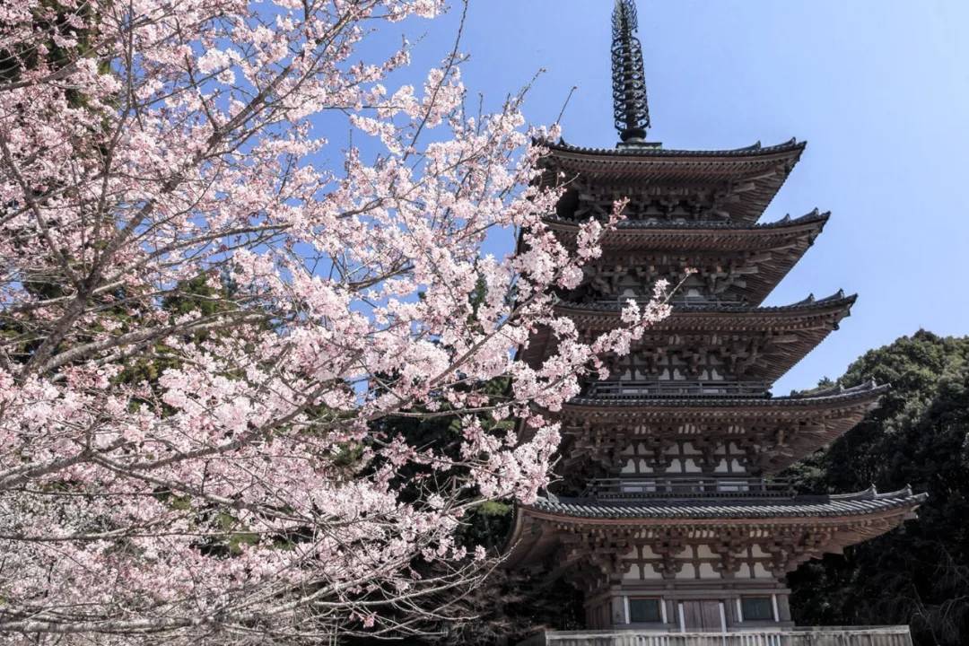 日本18xxxx探索日本18世纪的独特魅力-第2张图片