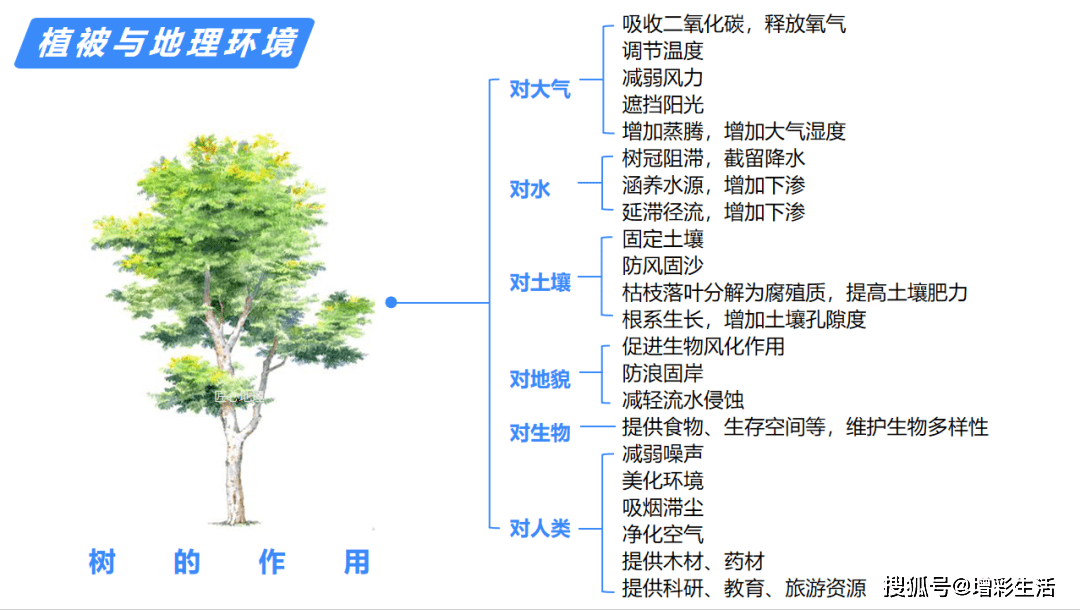 耕耘大婶的肥沃土地之谜-第2张图片