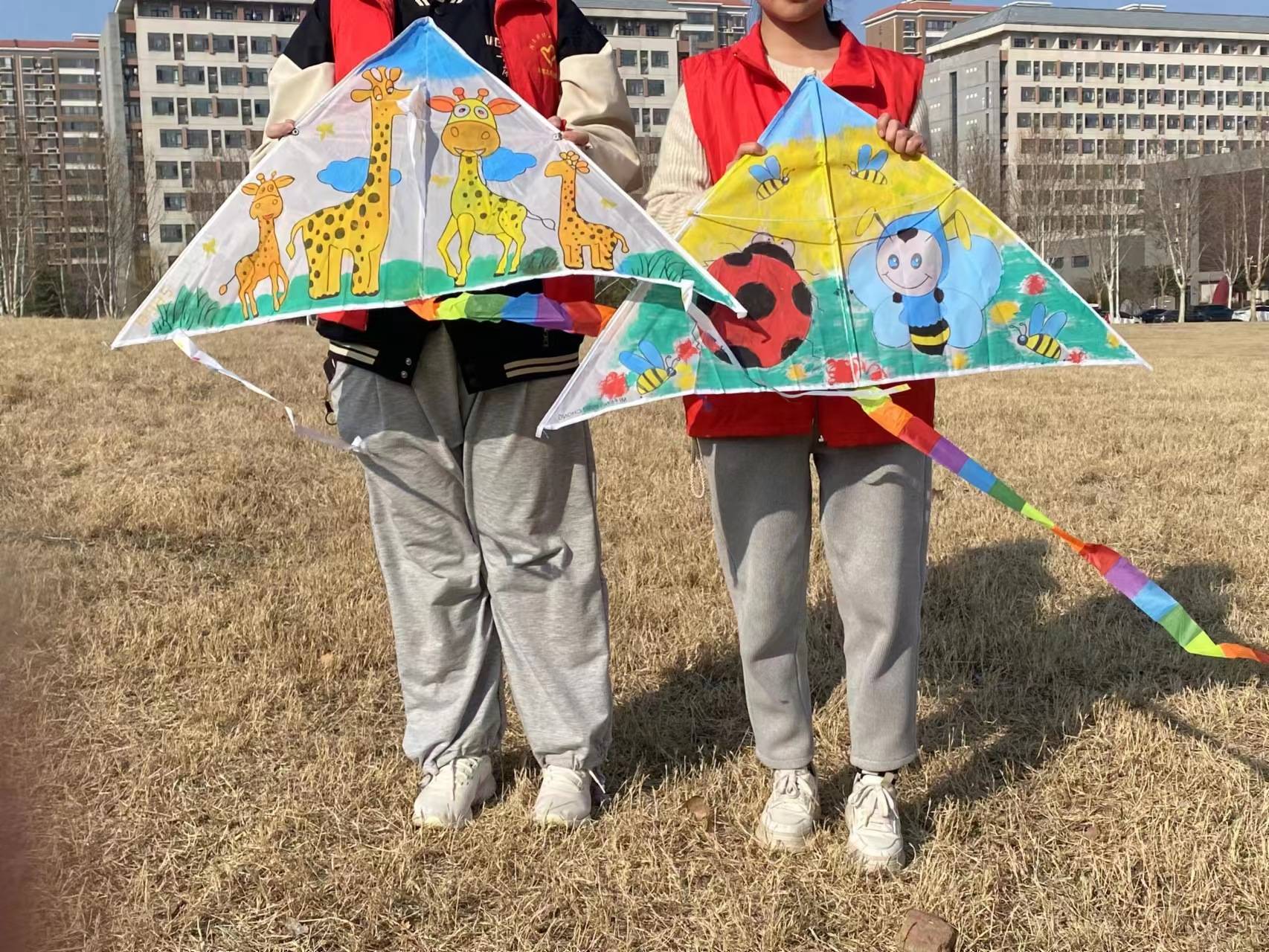 青云辅助青云辅助，助力成长，翱翔蓝天-第2张图片