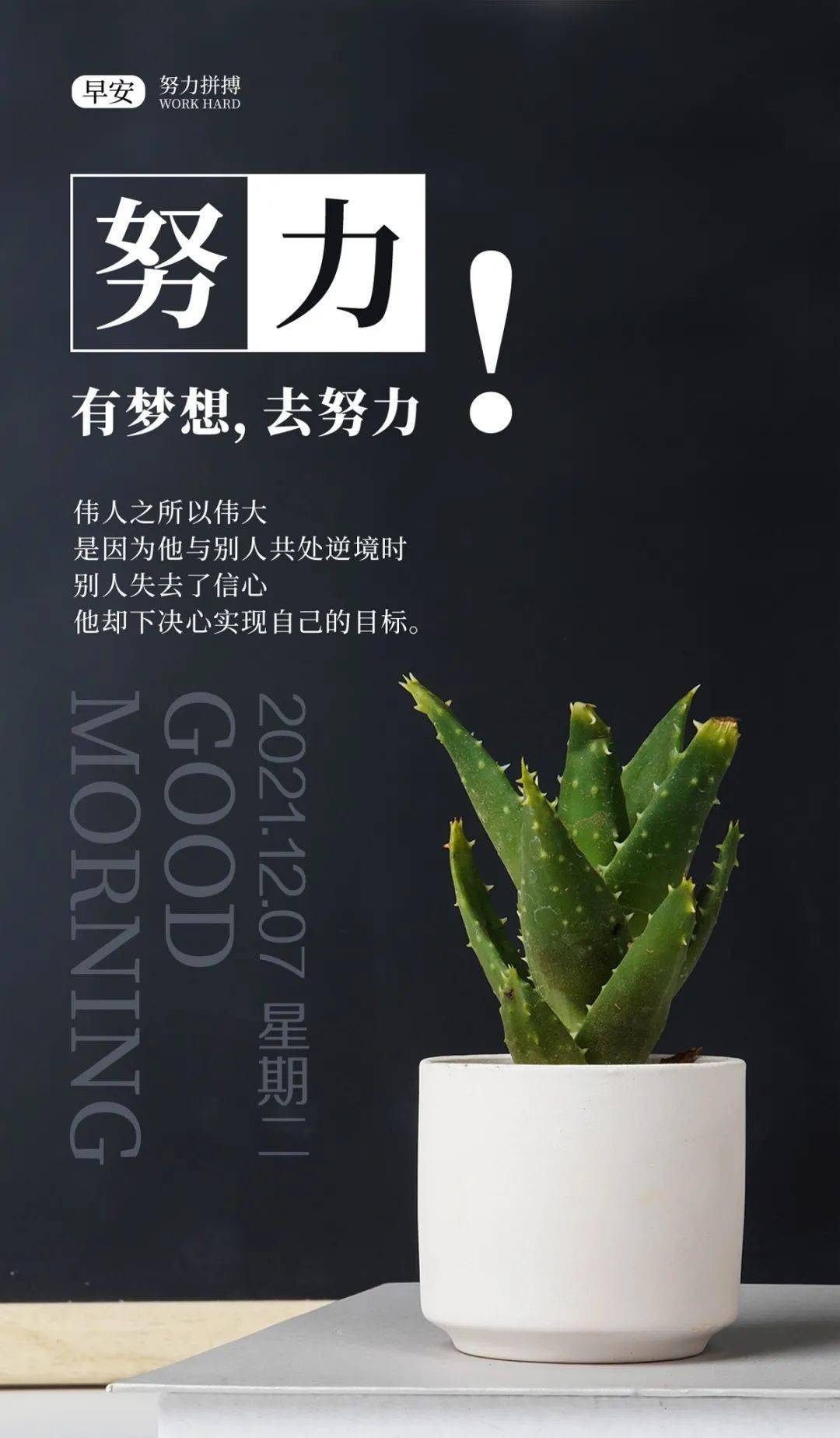 2021网站你懂我意思正能量2021年，网站正能量，你懂我意思-第3张图片