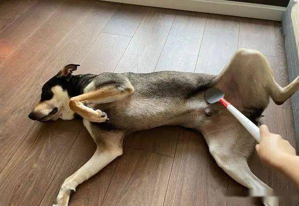 撸撸撸撸撸撸撸撸的魅力与意义