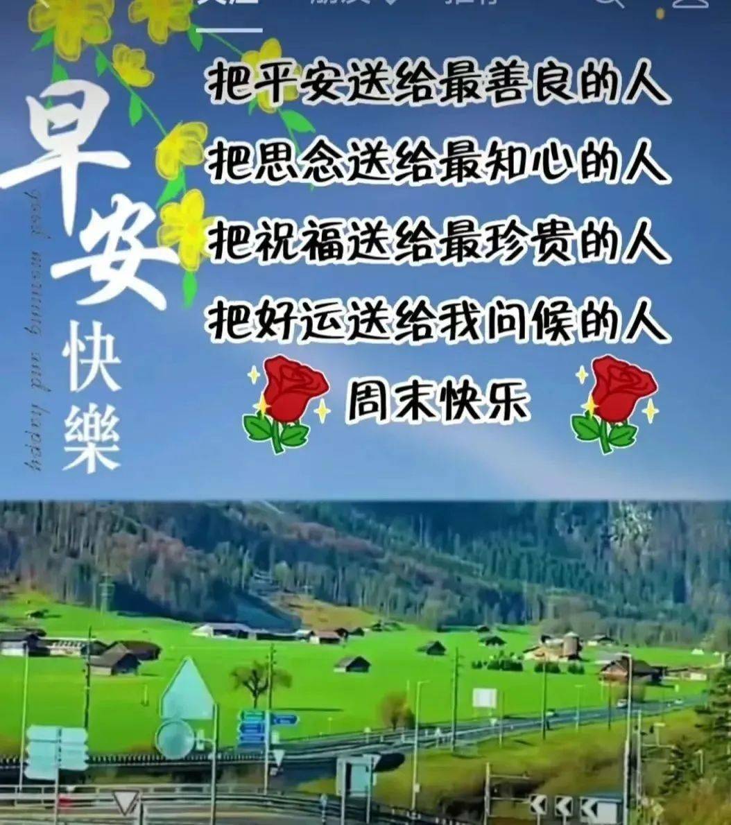 忘忧草下载，探索快乐与放松的数字世界-第1张图片