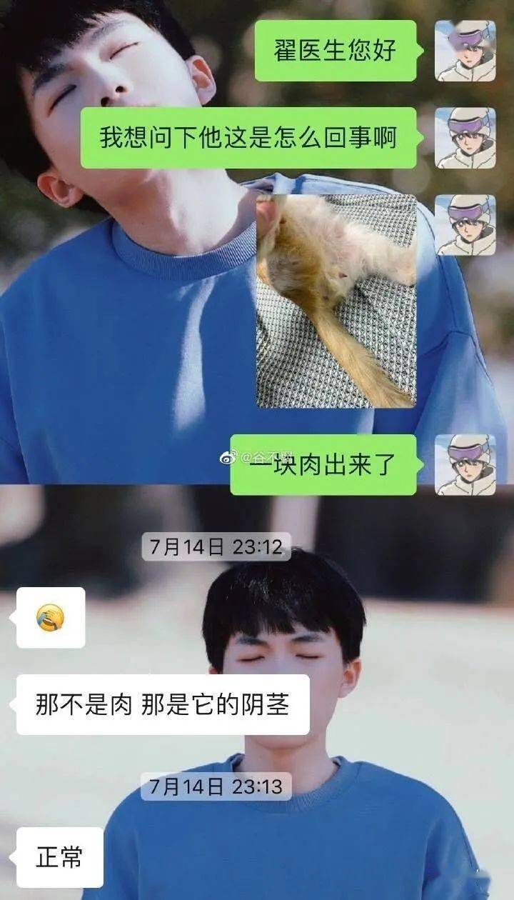 四个学长一起上短文四学长相伴，我恐将坏掉的青春纪实-第1张图片