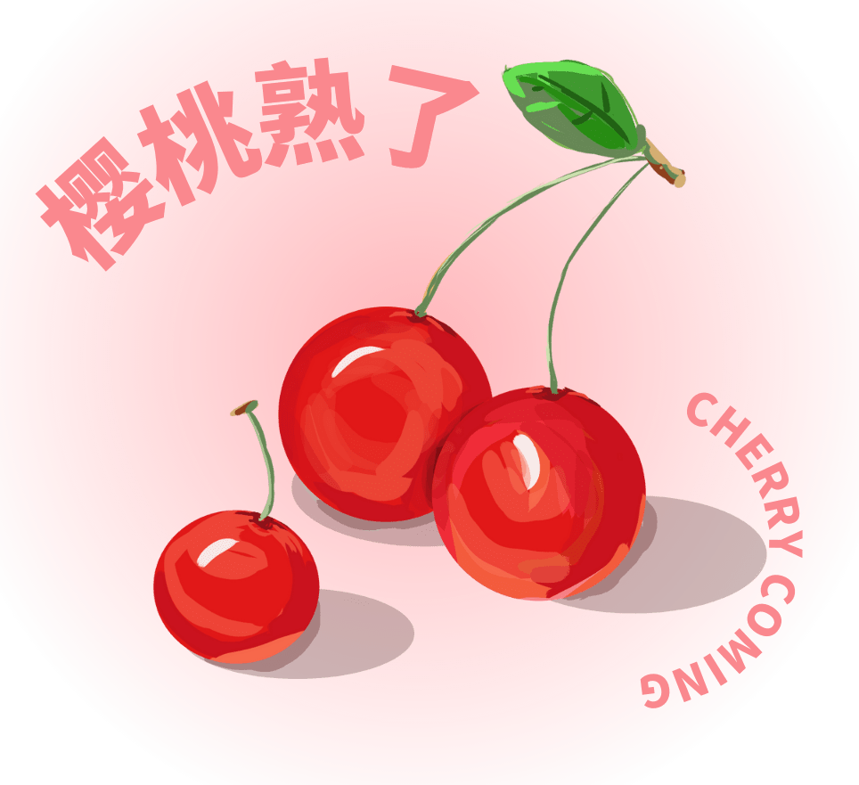 樱桃小视频，在线观看视频的乐趣与体验