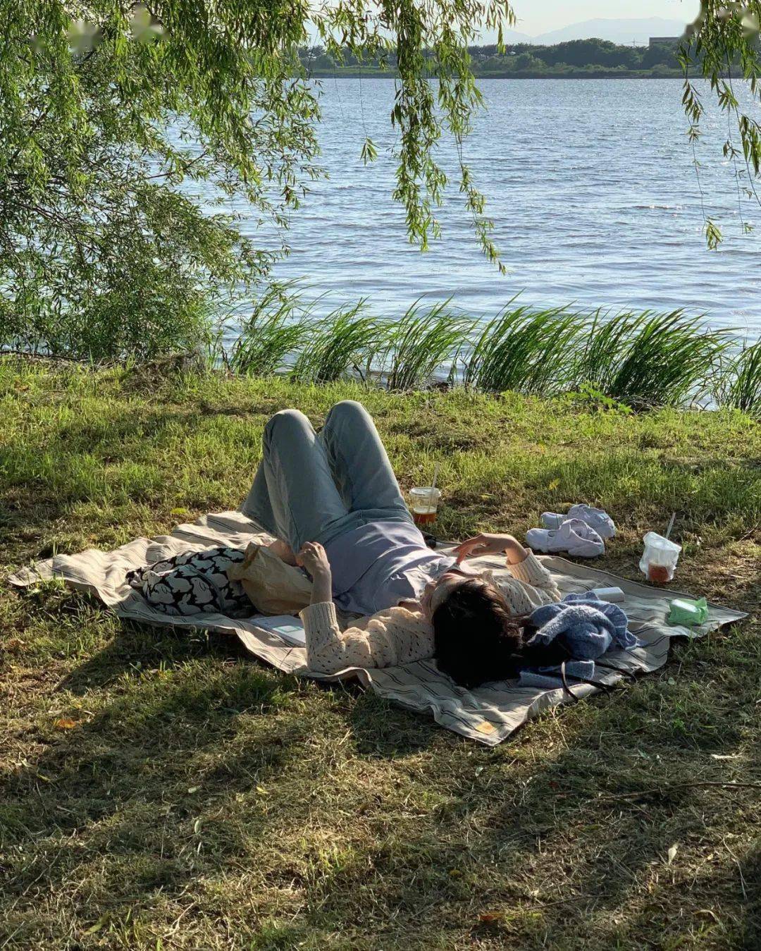 女子从草地里“拔出一大爷”草地上的意外拔出——女子与大爷的奇妙相遇-第1张图片