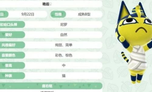 埃及猫跳舞原版埃及猫舞，神秘与灵动的完美结合-第3张图片