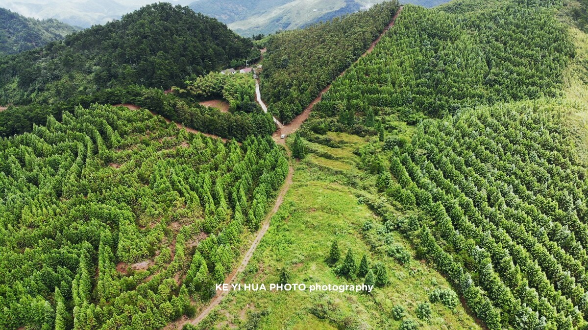朝阳市航拍男子违规航拍遭朝阳群众举报，依法被拘-第3张图片