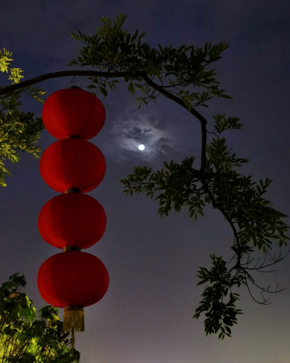 小芳和父亲十五的月亮十六圆 小说小芳与父亲共赏十五的月亮十六圆