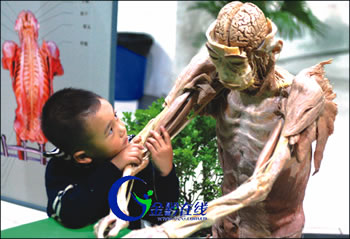 探索西西人体奥秘，深度解析44关键词
