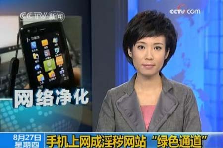 色青网，网络世界的绿色与健康