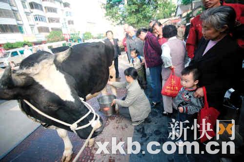 美女撒尿无遮挡的真相，免费的中国现象