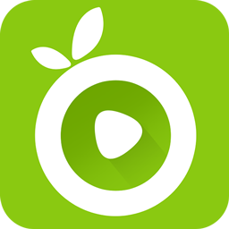 荔枝视频app黄板，深入探讨与解析