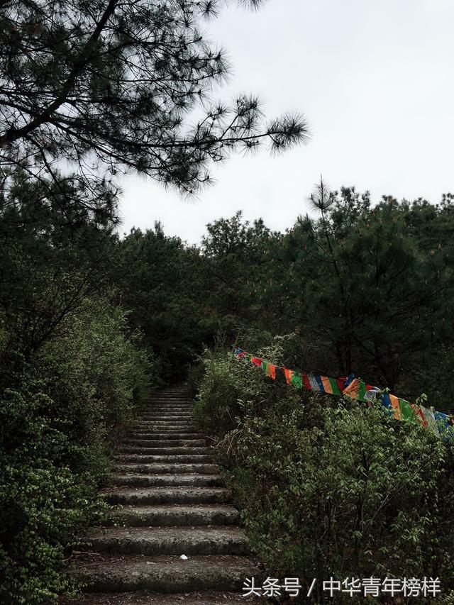 漾出over flower第一季翻译之旅-第3张图片