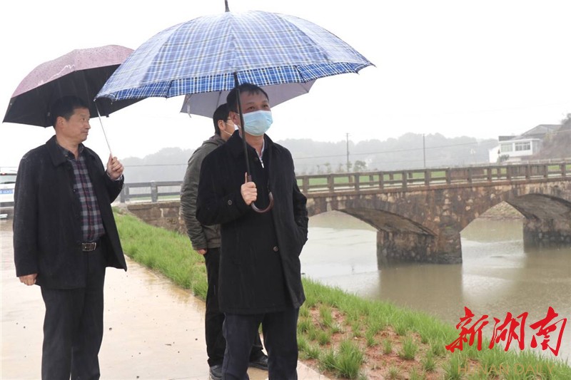 青青草网站青青草网站——绿色生态的数字乐园