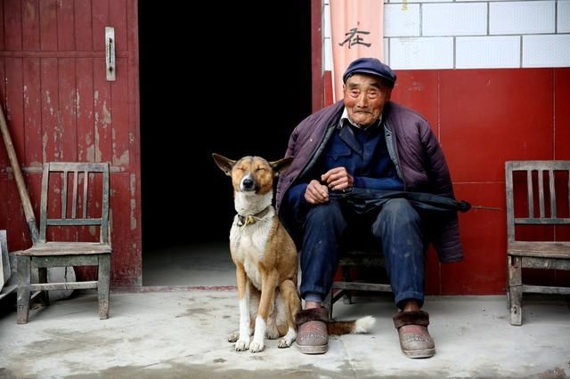 爷爷的鸡又黑又长下一句怎么接狗狗的独特魅力，又烫又大又长的毛发下的故事