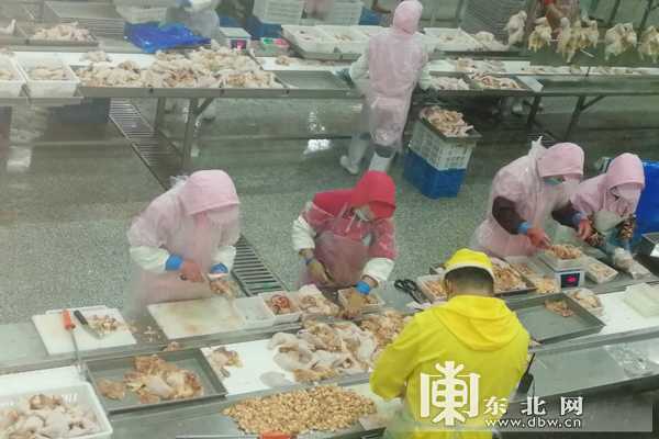我获得了肉禽系统，一次全新的农业体验之旅