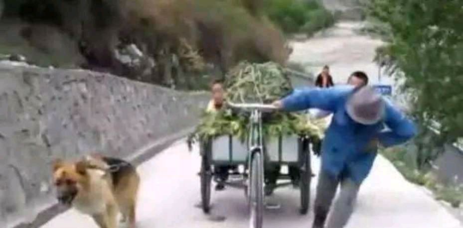 老旺小说主角老旺的日儿媳——菊花的温馨故事-第2张图片