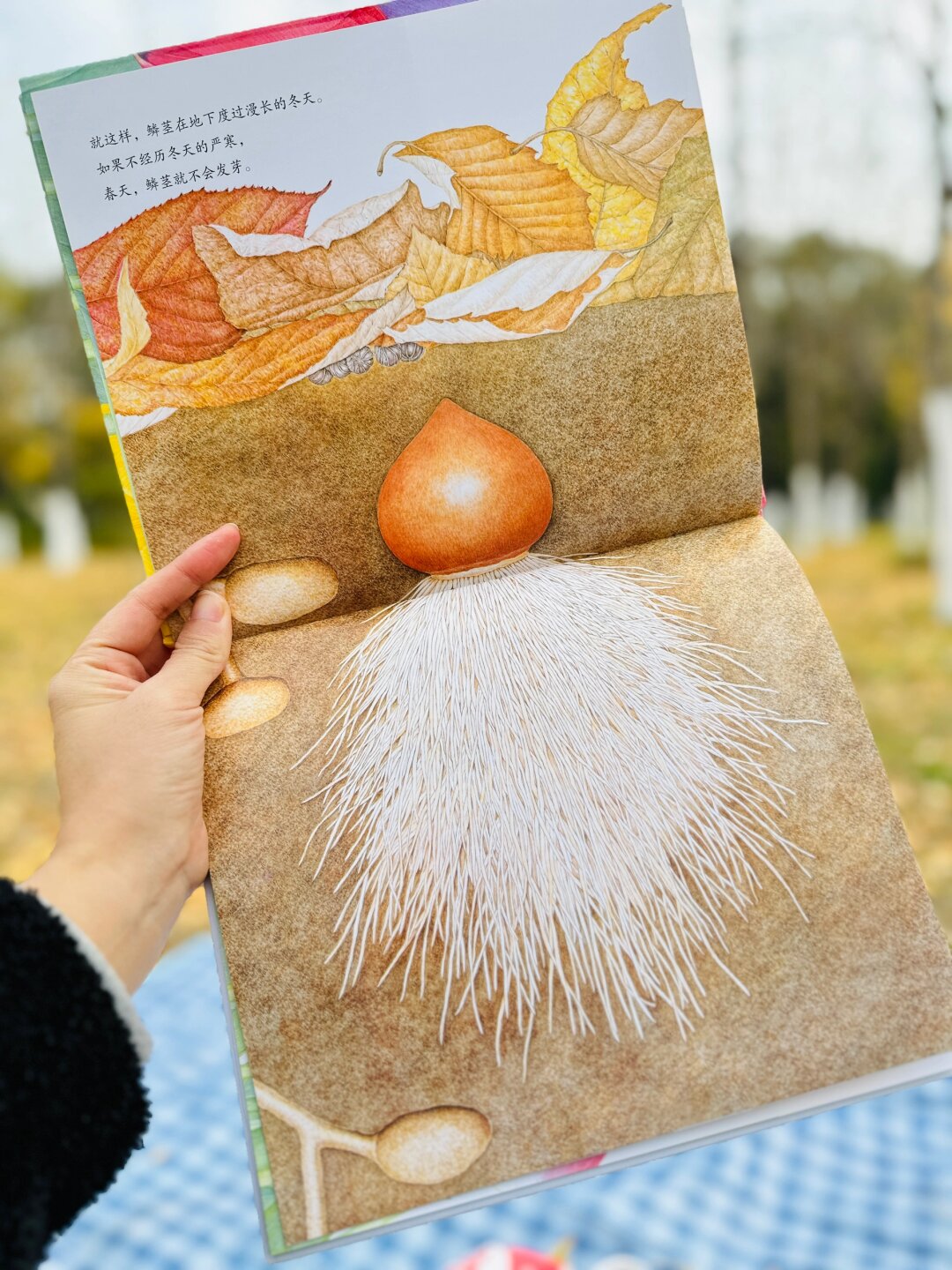 bbox怀孕系列Bbox怀孕系列，探索艺术与生命的奇妙交融-第2张图片