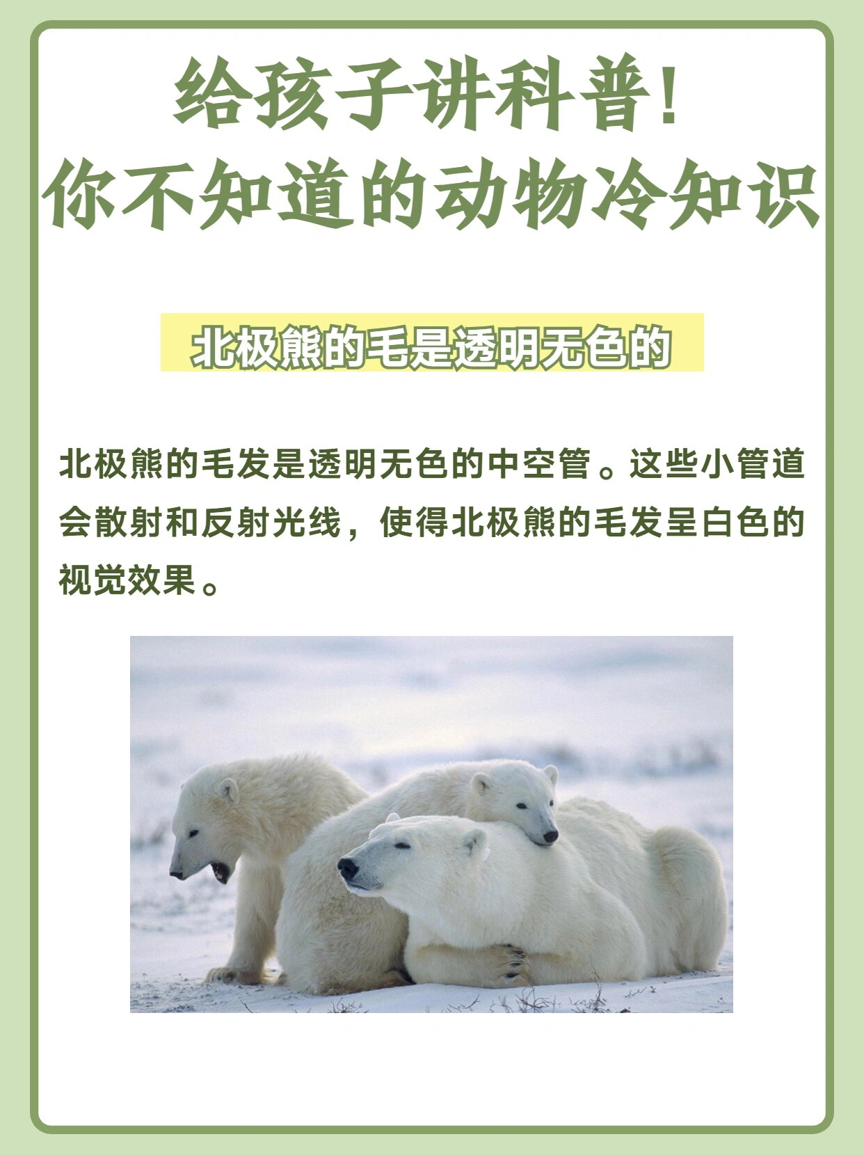探索未知的奥秘，???的深度解析