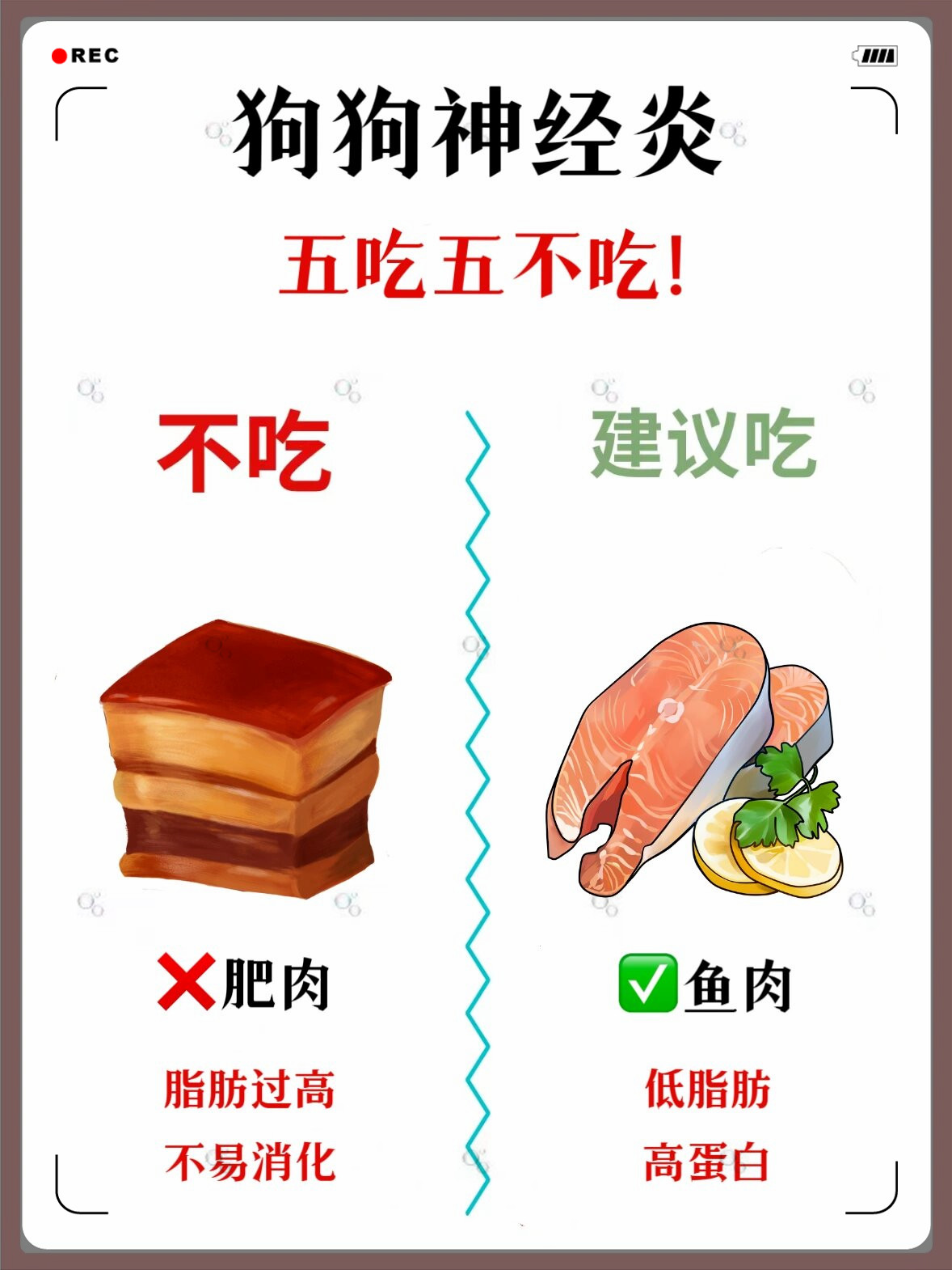 一个吃上面一个吃B双食之谜，一个吃上面，一个吃B-第1张图片