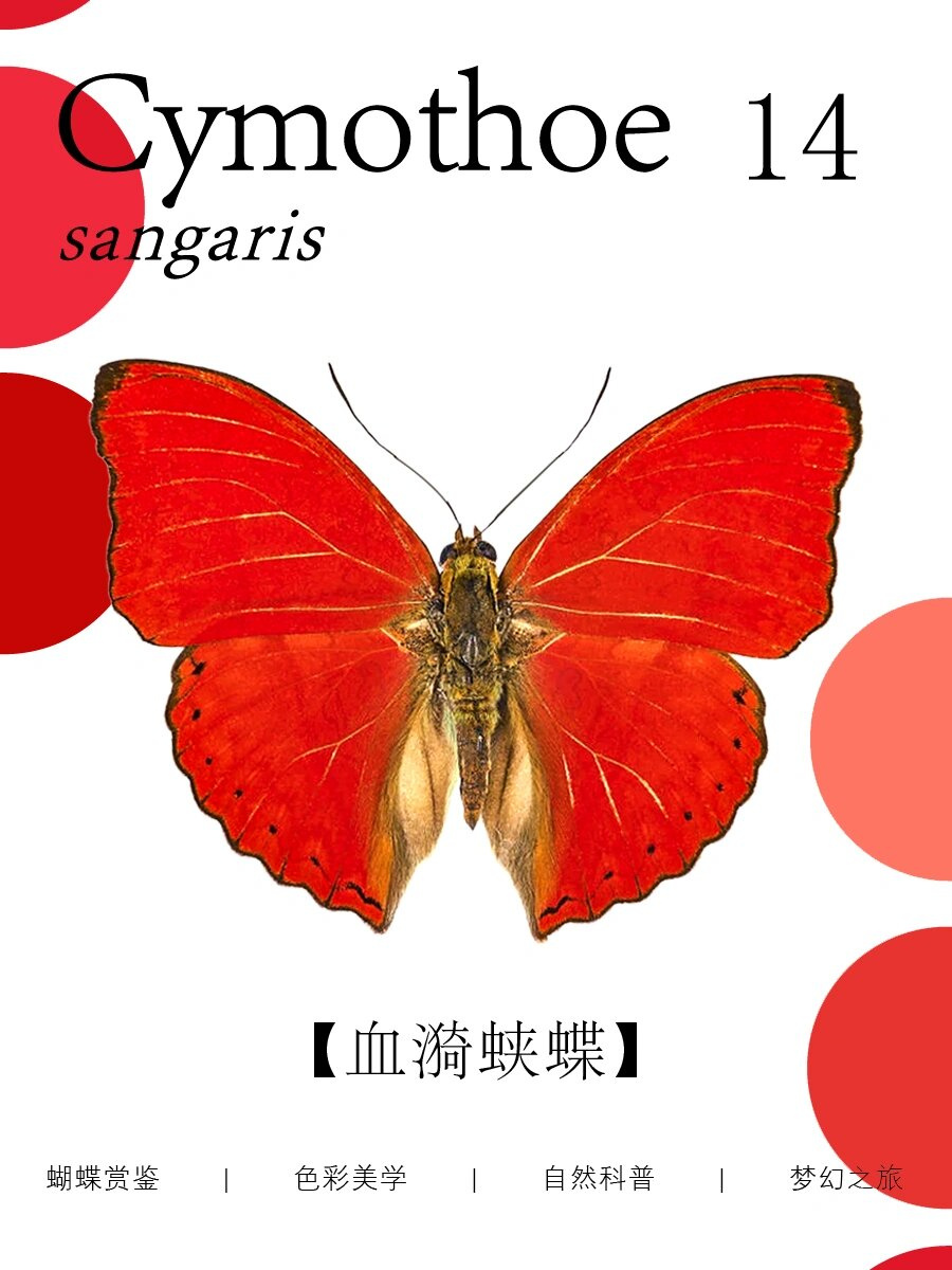 探索开心色彩的奇妙世界——99 XXXX的魅力-第1张图片