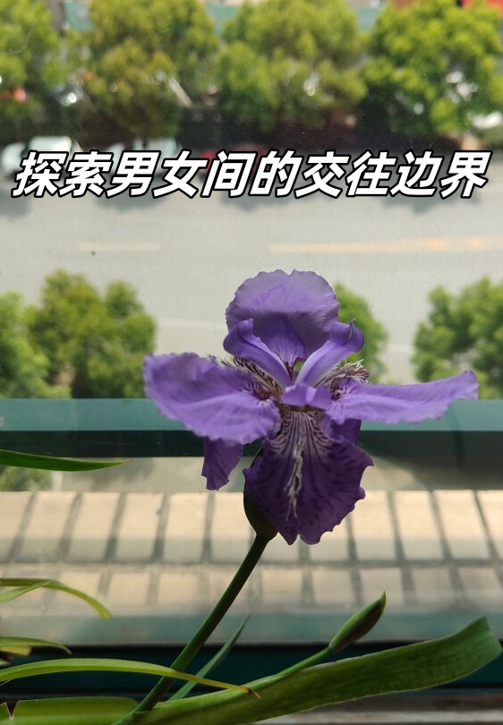 探索边界，可不可以放进去一下下？-第1张图片