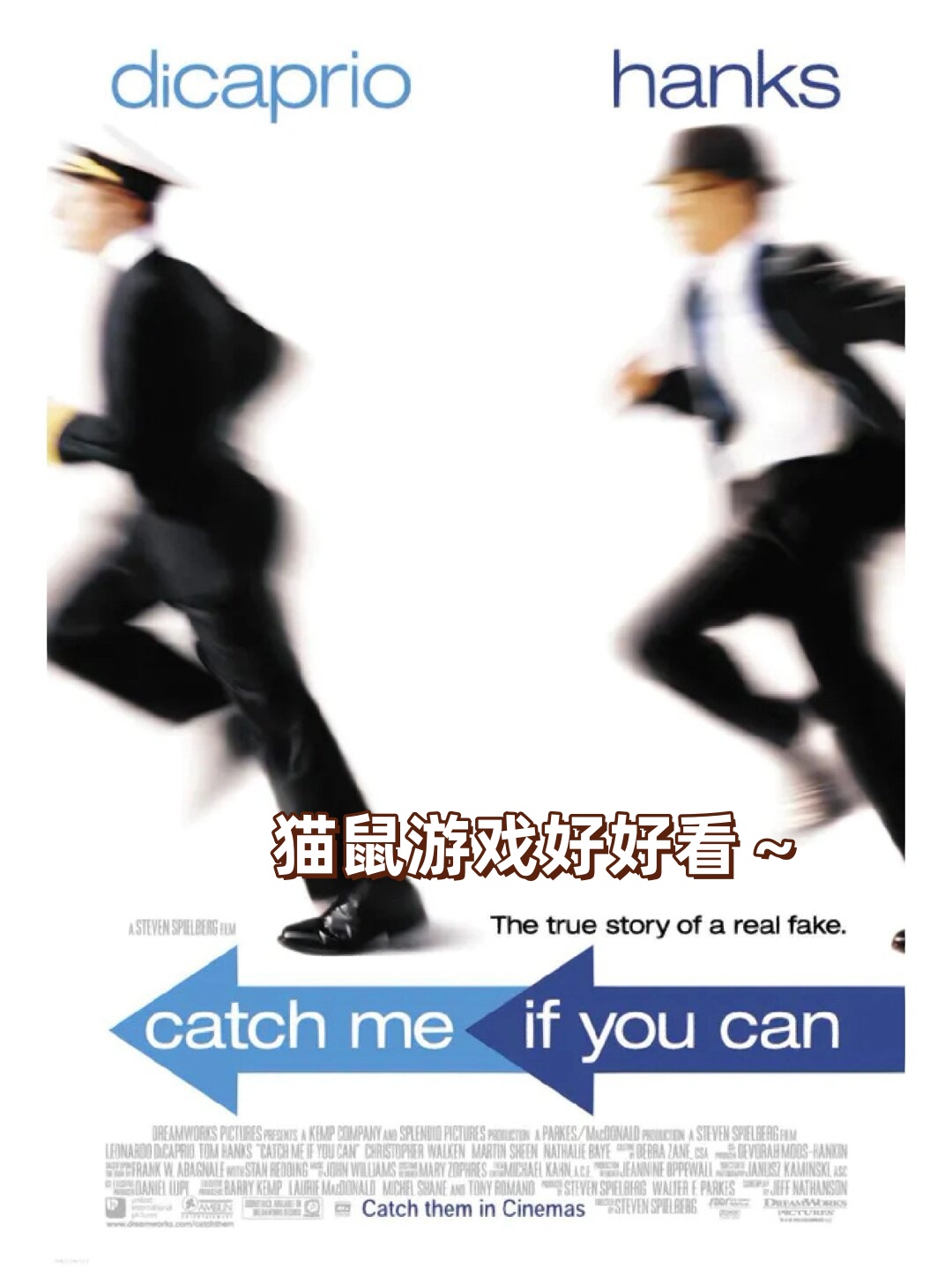 猫鼠游戏猫鼠之趣，一场永恒的追逐与智慧较量