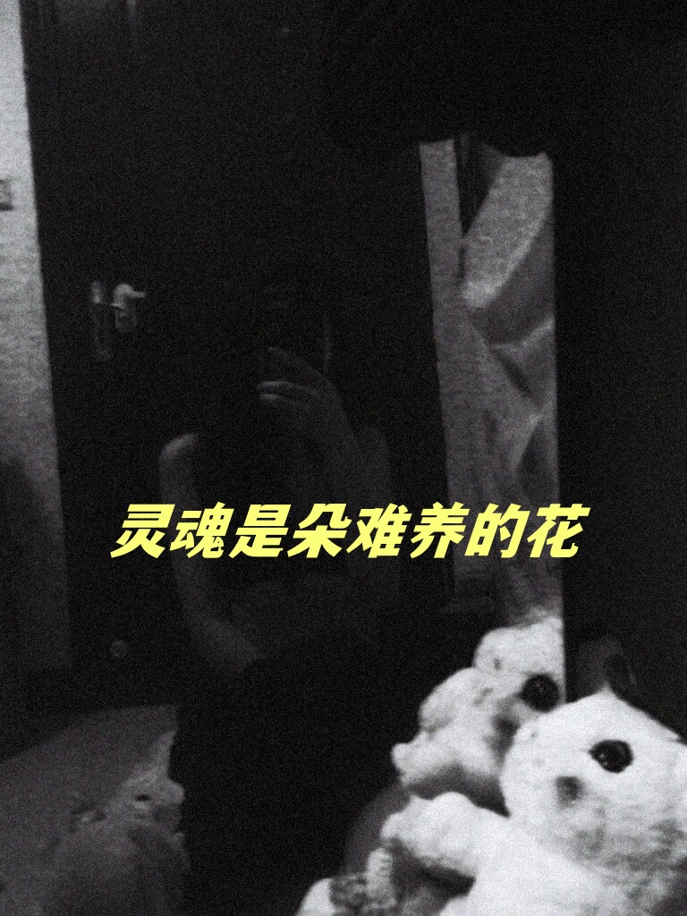 宝贝的独特世界，面对摄像头的自我探索