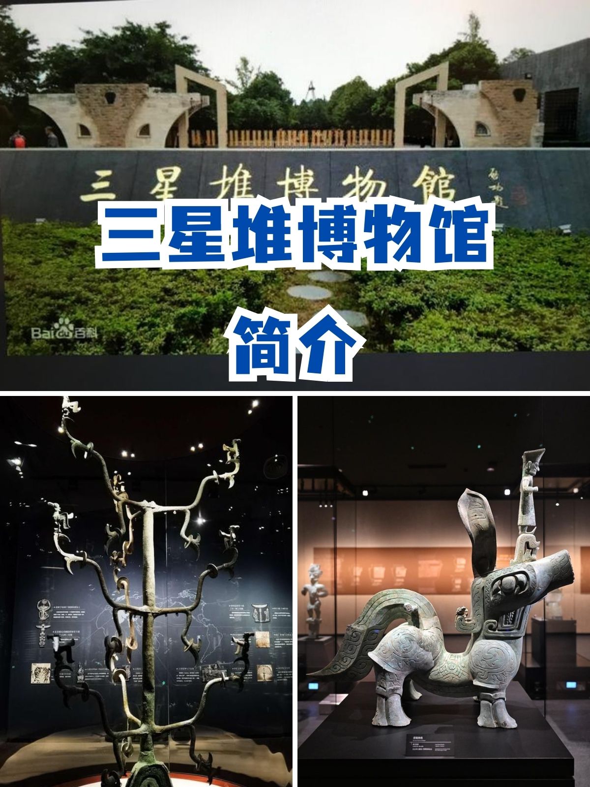 yw.193.龙物龙物之谜，YW.193的神秘传说-第1张图片