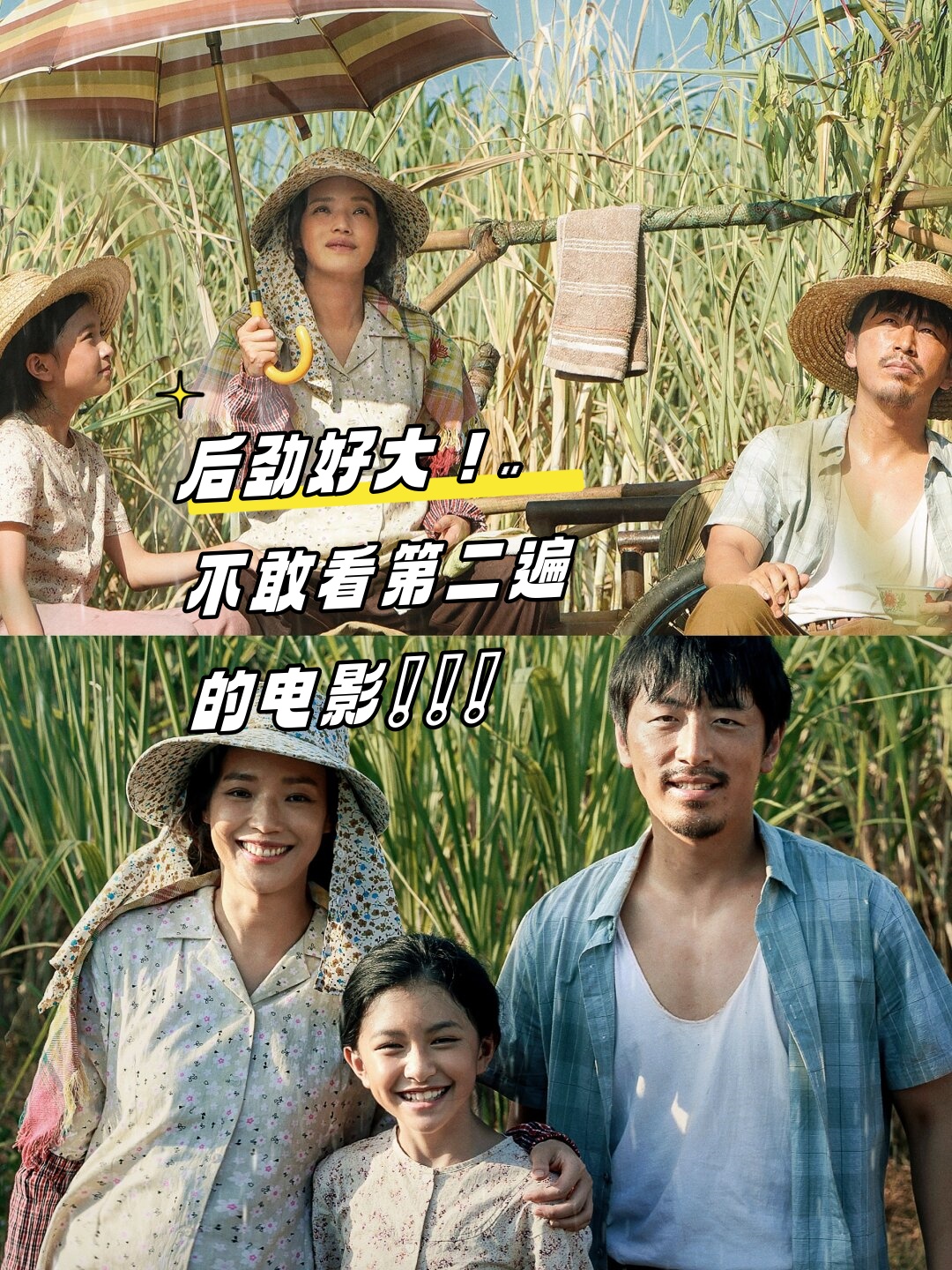一个人看的免费高清电影免费高清电影，一个人的视觉盛宴-第1张图片