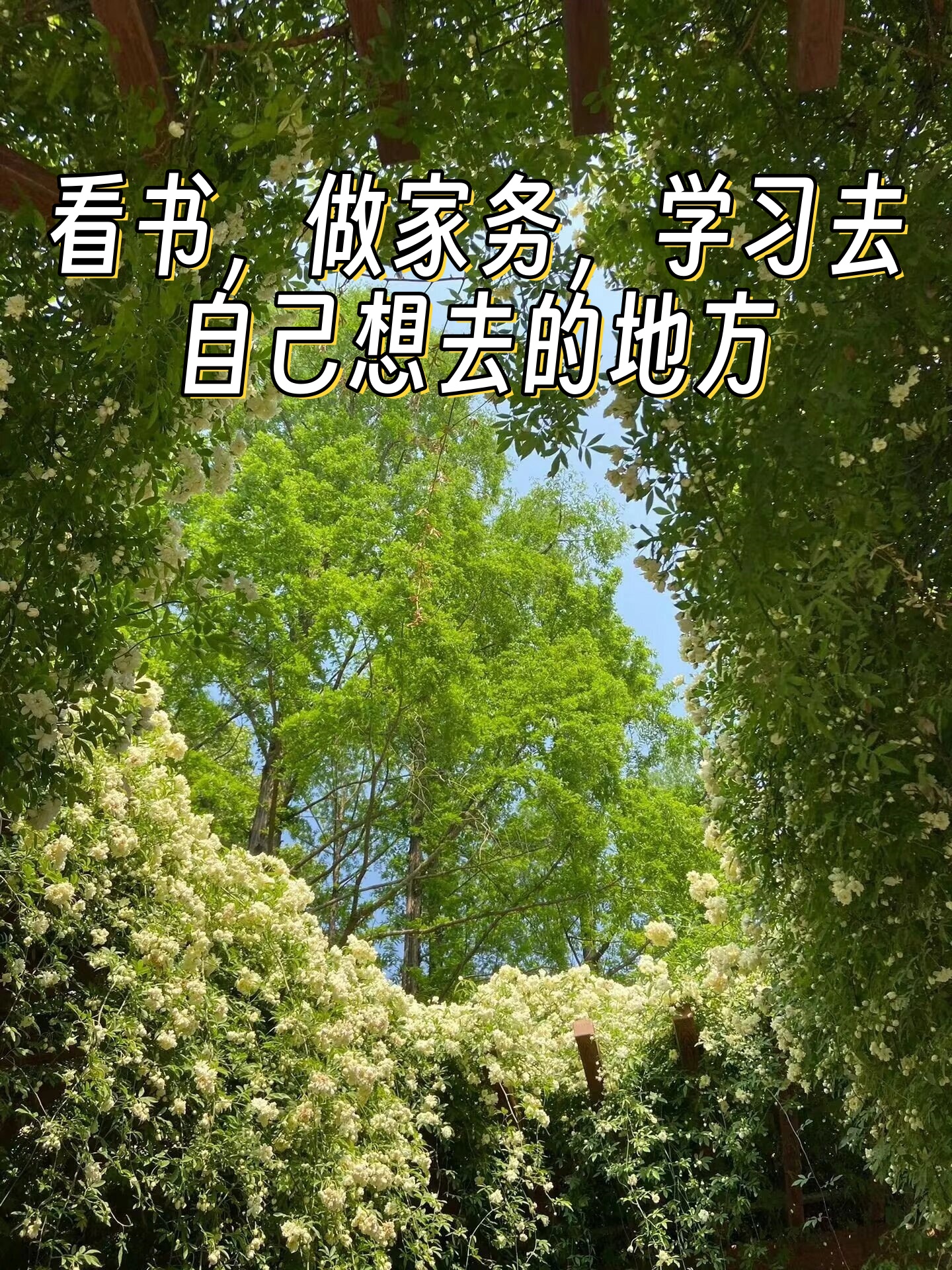 探索开心色彩的奇妙世界——99 XXXX的魅力-第2张图片