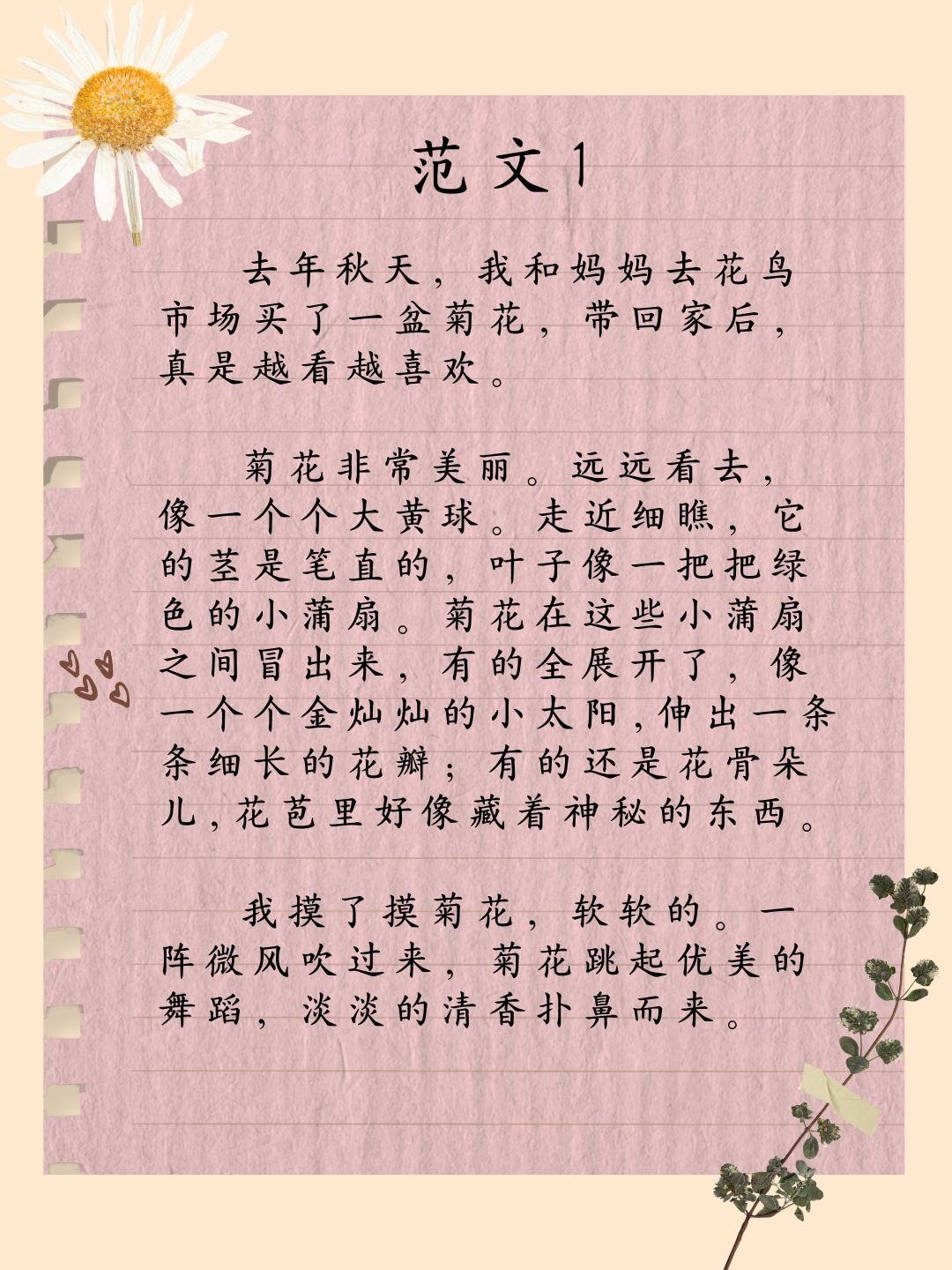 惩罚往受的菊花塞生姜作文惩罚与教育的边界——以菊花塞生姜为引